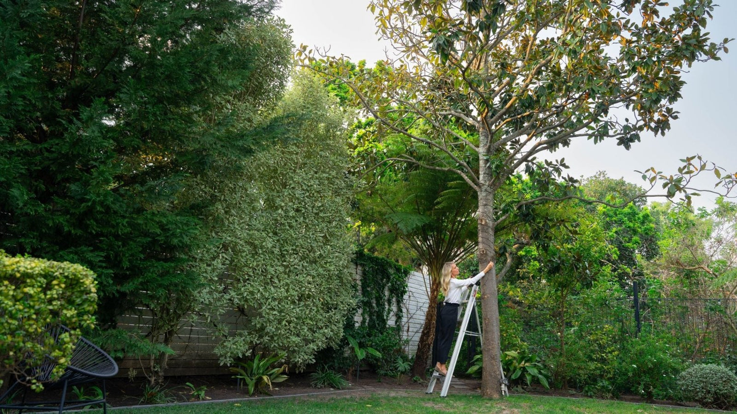 Are Solar Garden Lights Worth It? Discover the Truth Here - Litehouse (Pty) Ltd