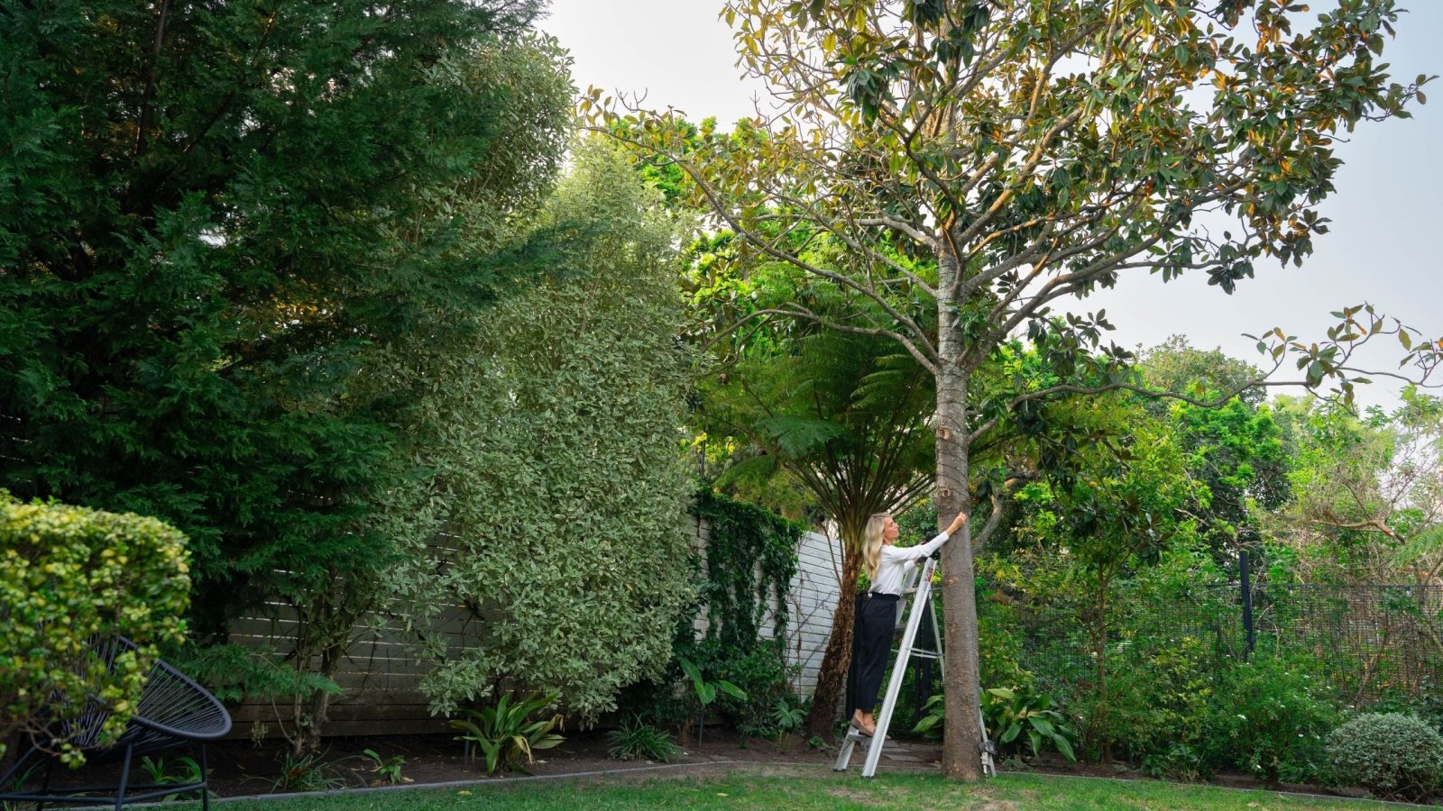 Are Solar Garden Lights Worth It? Discover the Truth Here - Litehouse (Pty) Ltd