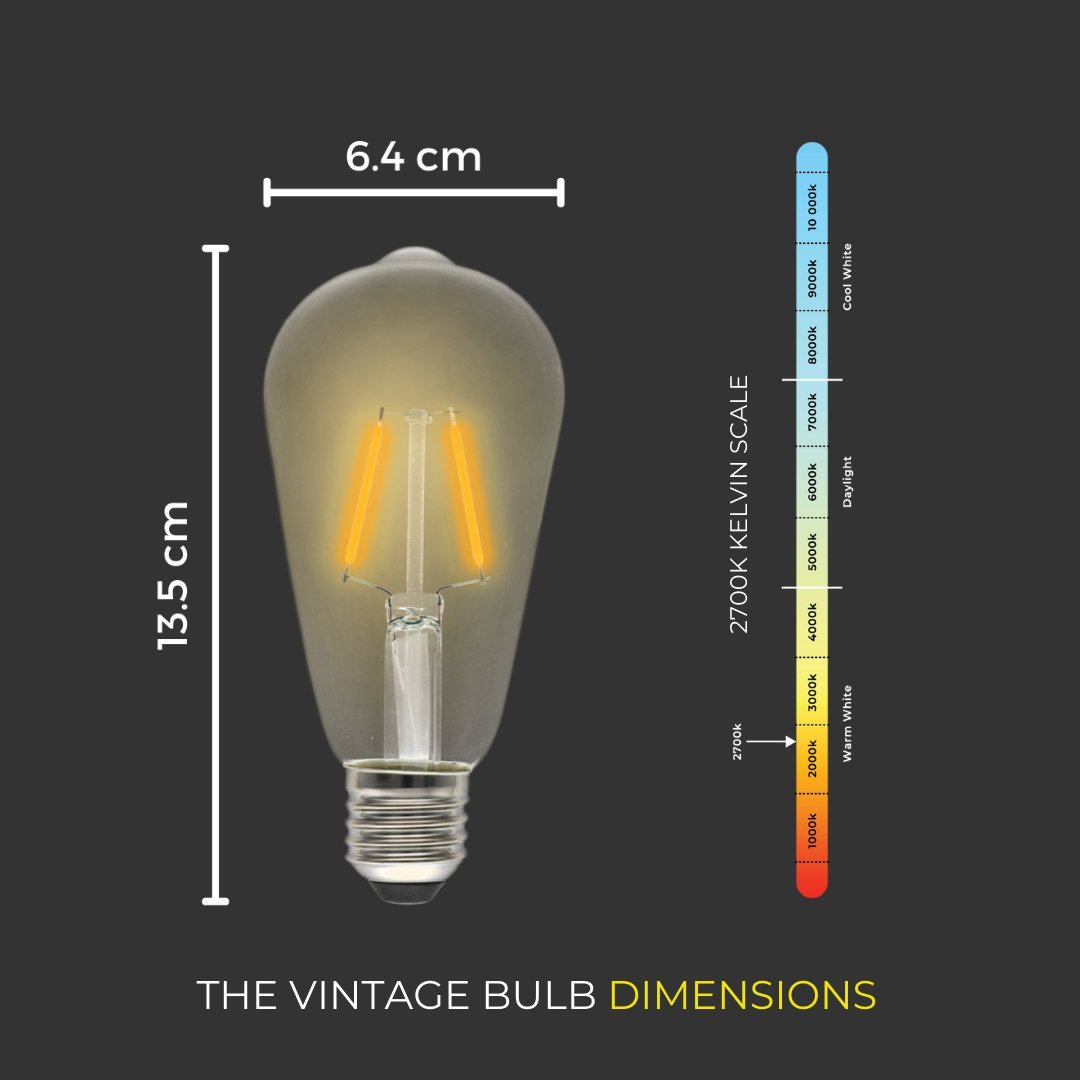 Litehouse Plug - In Festoon Replacement Bulb - Vintage LED Bulb (ST64, E27, 220 - 240V) - Litehouse