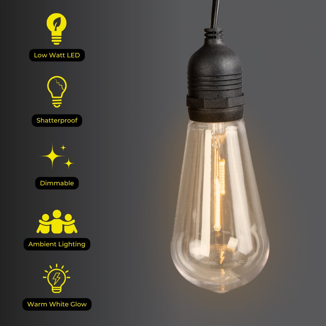 Litehouse Plug - In Festoon Replacement Bulb - Vintage LED Bulb (ST64, E27, 220 - 240V) - Litehouse