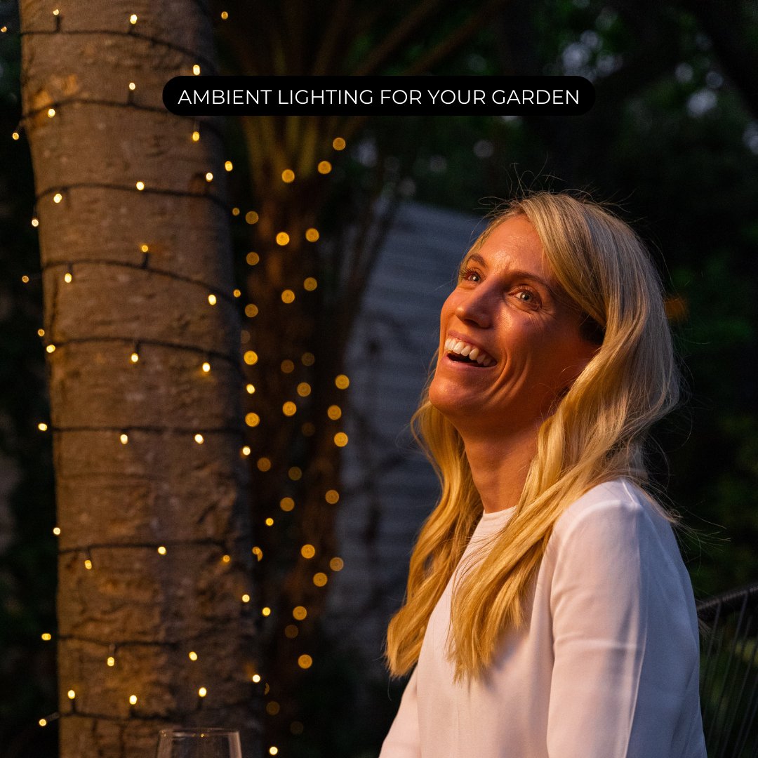 Litehouse Solar Outdoor LED Fairy Lights - Black String - Litehouse