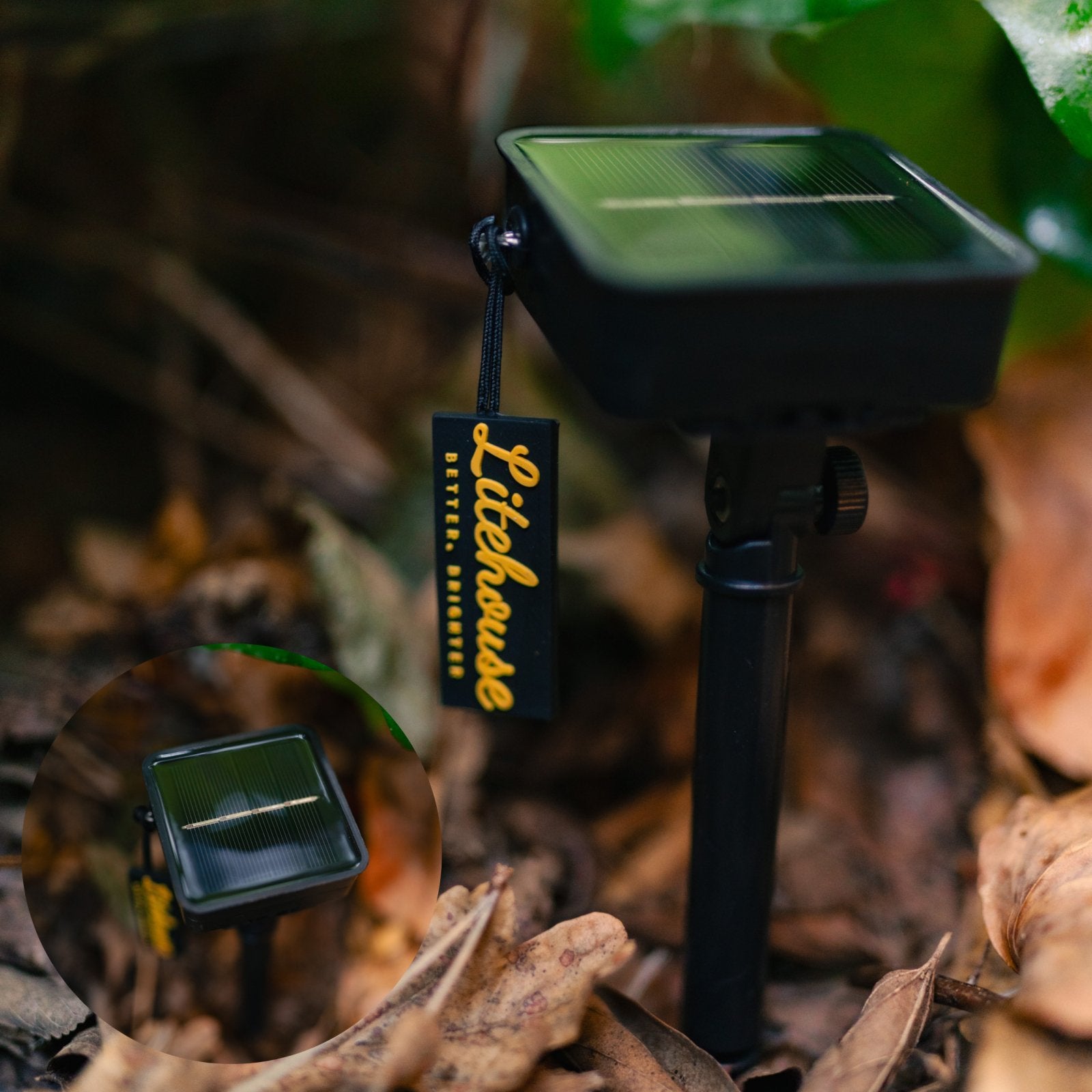 Litehouse Solar Outdoor LED Fairy Lights - Black String - Litehouse