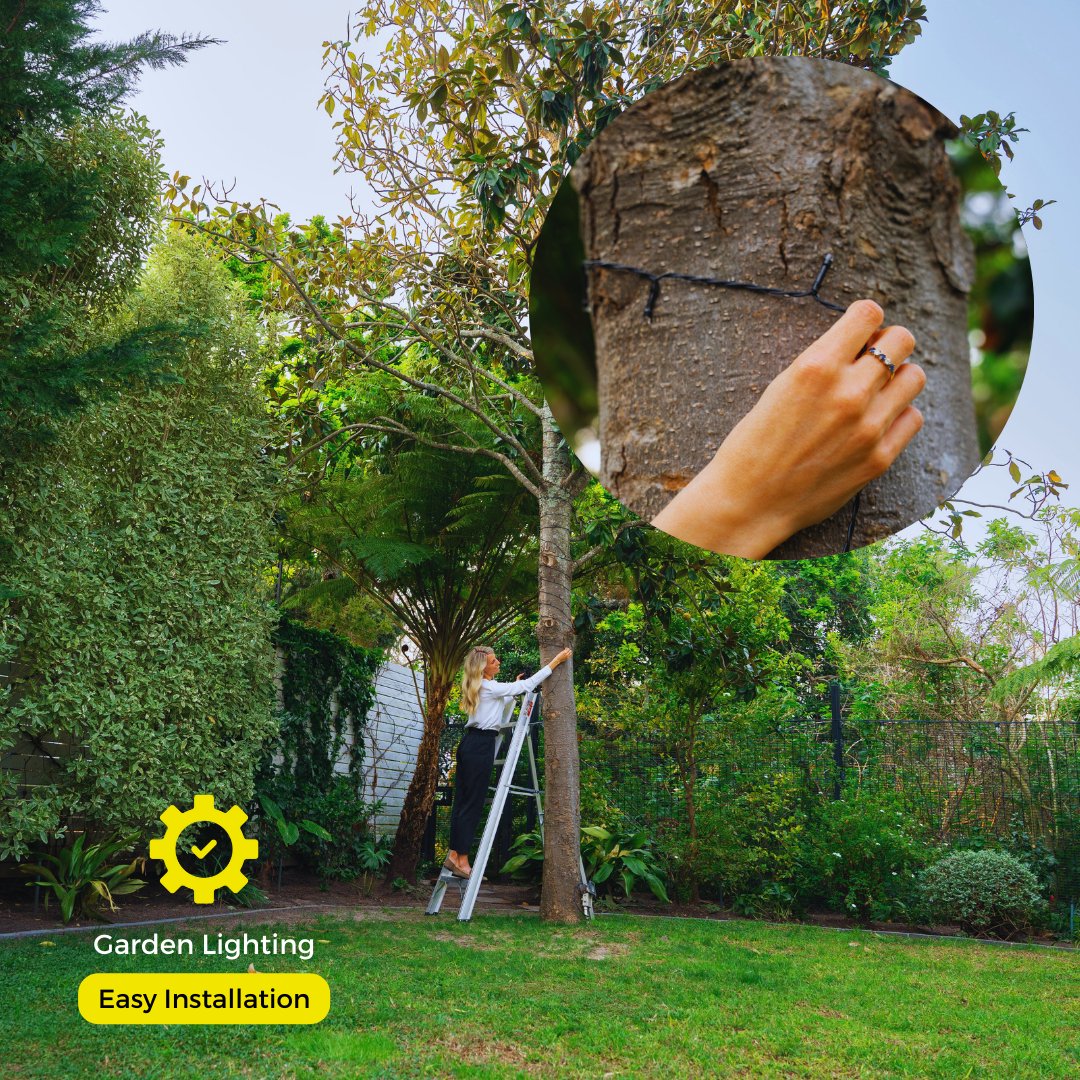 Litehouse Solar Outdoor LED Fairy Lights - Black String - Litehouse