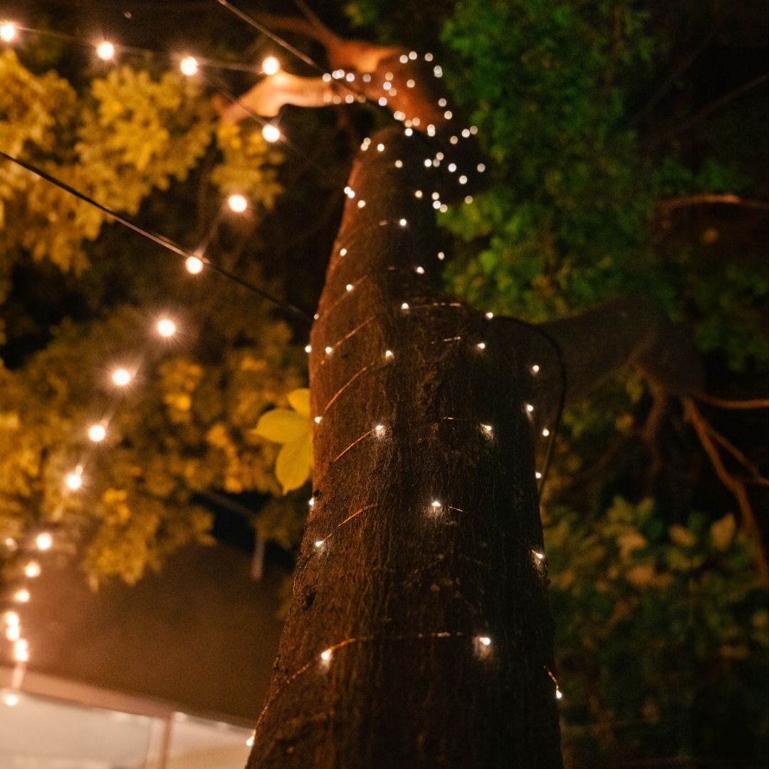 Litehouse Solar Outdoor LED Fairy Lights - Copper Wire - Litehouse