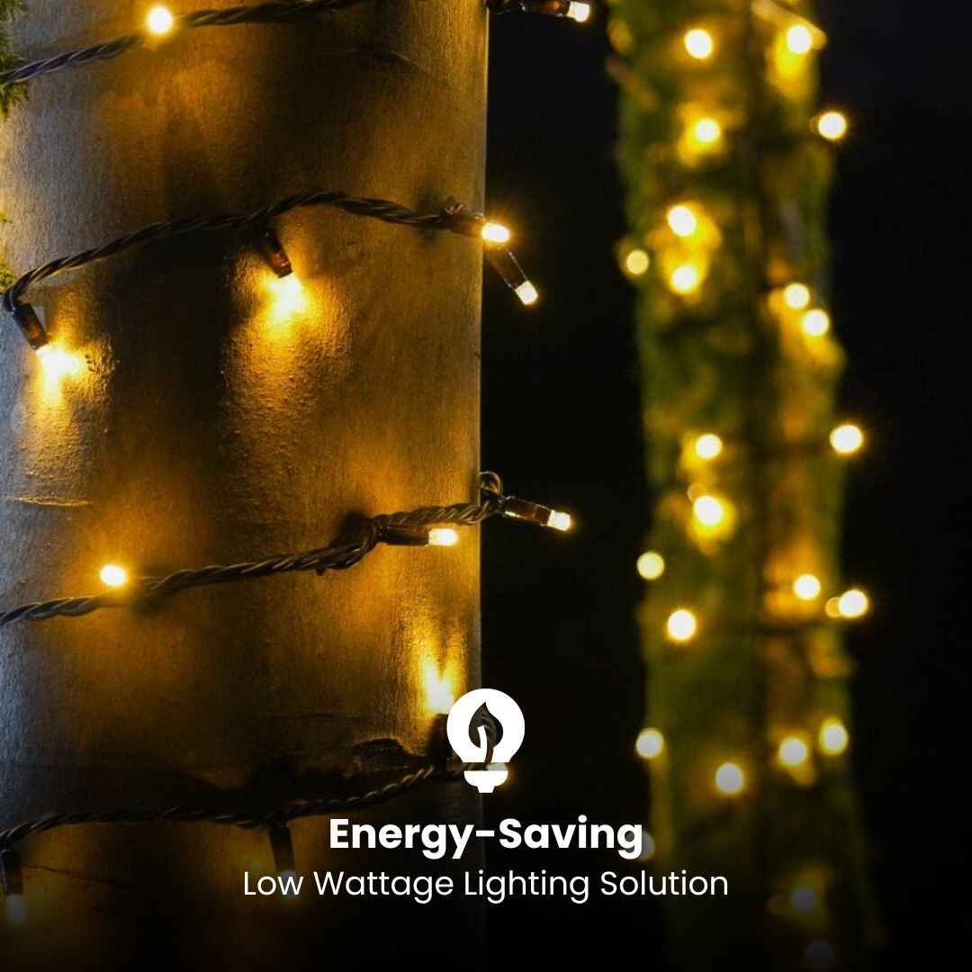 Outdoor Christmas Fairy Lights - Heavy Duty - Litehouse