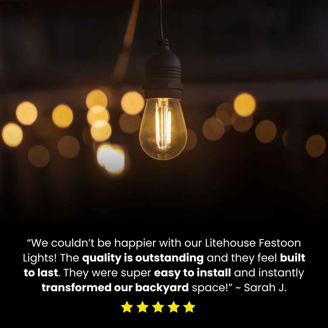 Plug - In Festoon Bulb String Lights - Traditional Bulb, Black - Litehouse