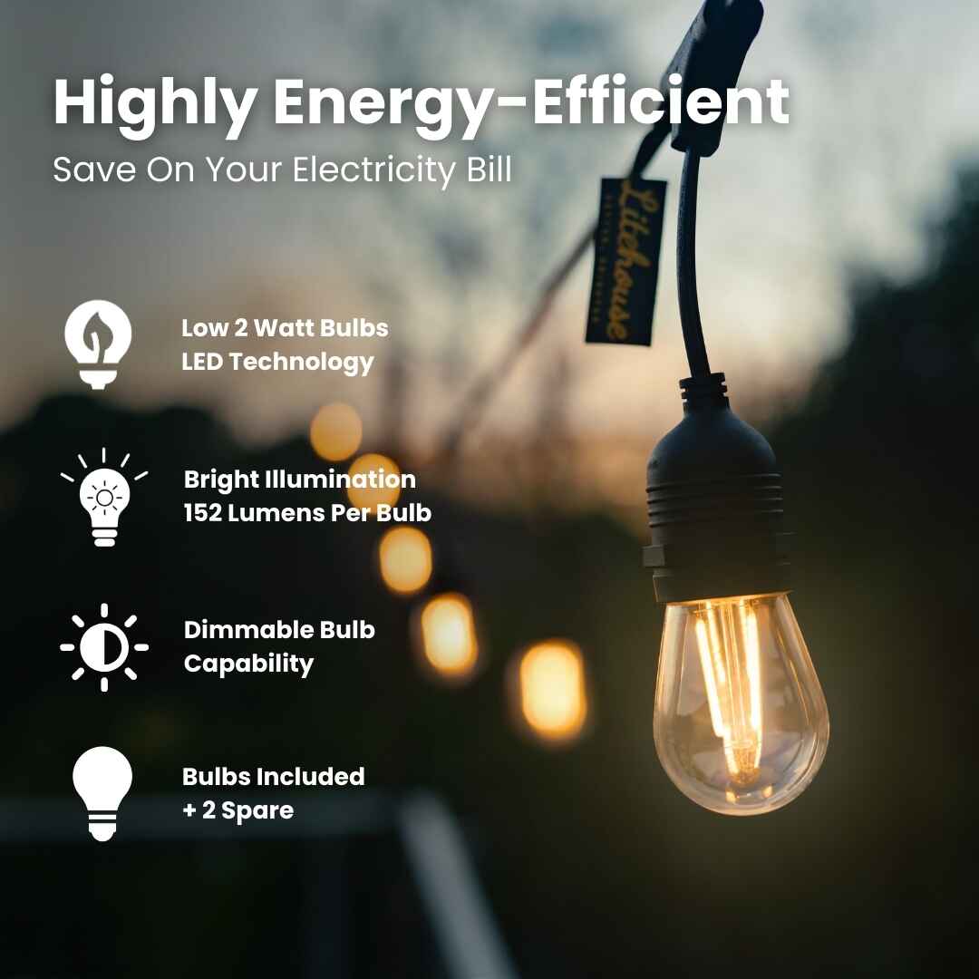 Plug - In Festoon Bulb String Lights - Traditional Bulb, Black - Litehouse