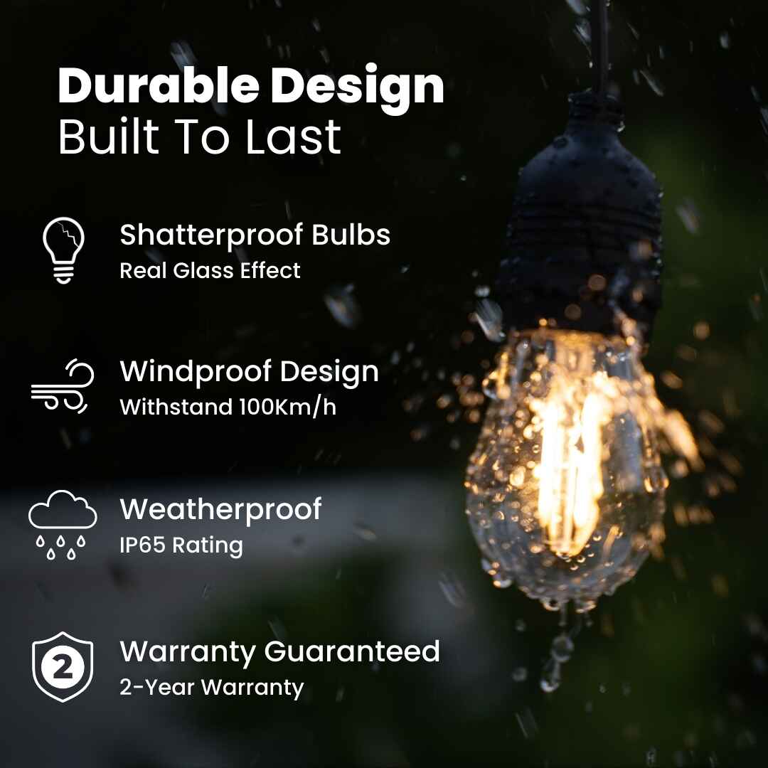 Plug - In Festoon Bulb String Lights - Traditional Bulb, Black - Litehouse