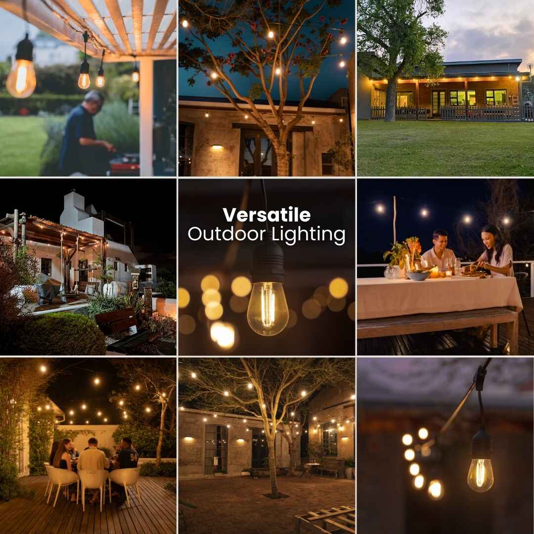 Plug - In Festoon Bulb String Lights - Traditional Bulb, Black - Litehouse