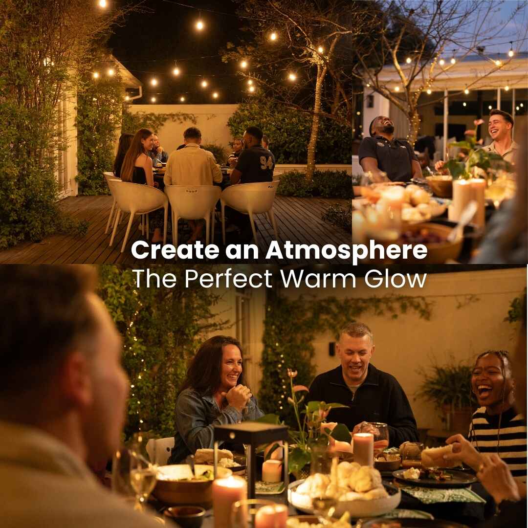 Plug - In Festoon Bulb String Lights - Traditional Bulb, Black - Litehouse