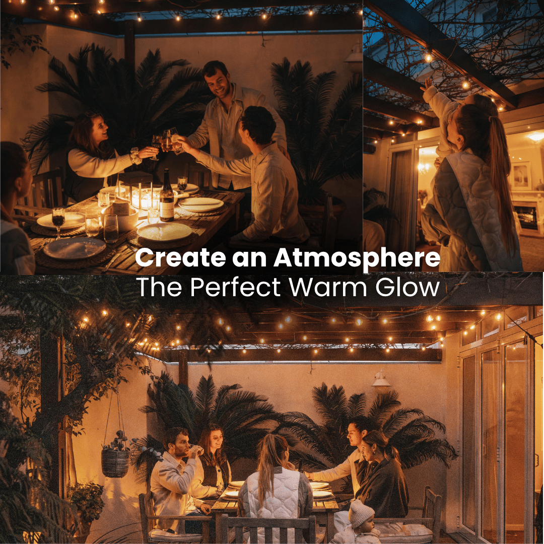 Plug - In Mini Bulb String Lights - Classic LED Bulbs, Black - Litehouse (Pty) Ltd