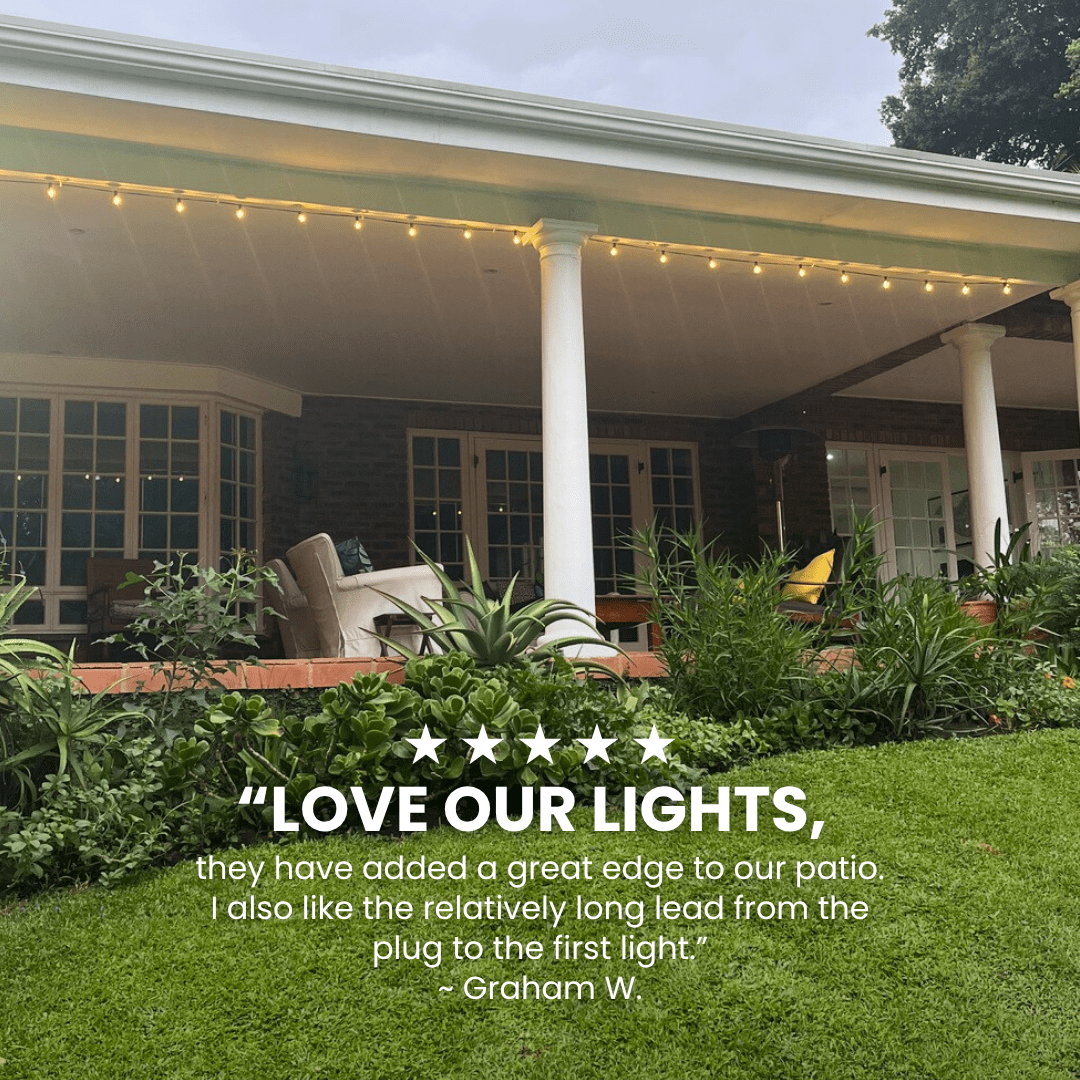 Plug - In Mini Bulb String Lights - Classic LED Bulbs, Black - Litehouse (Pty) Ltd