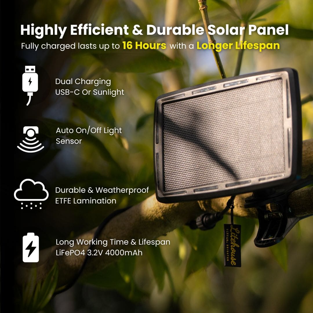 Solar Mini Outdoor Bulb String Lights - Classic LED Bulbs, Black - Litehouse (Pty) Ltd