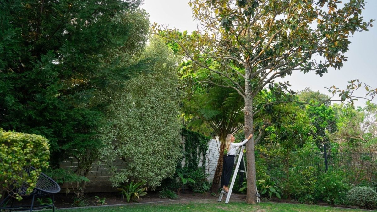 Are Solar Garden Lights Worth It? Discover the Truth Here - Litehouse (Pty) Ltd