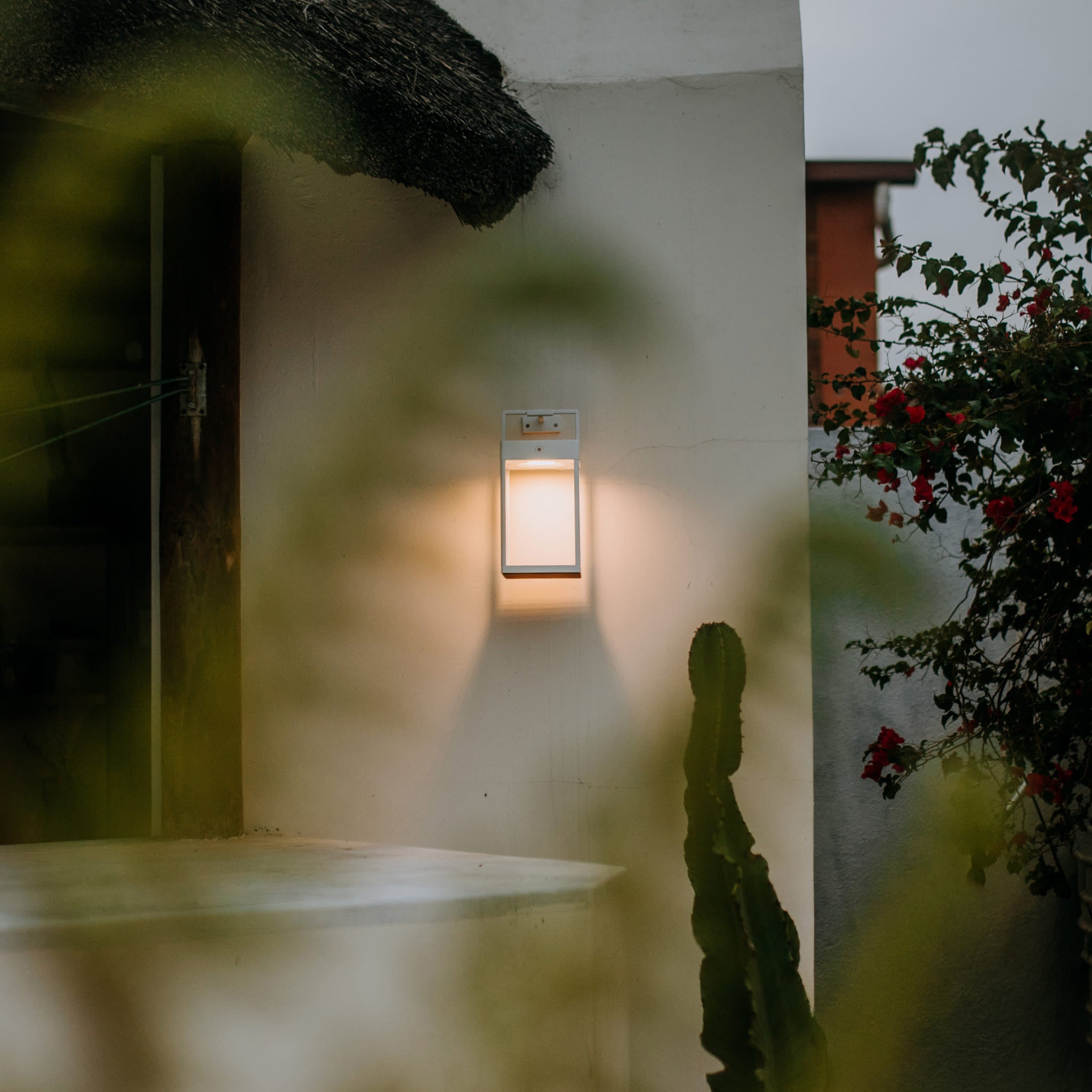 Wall-mounted outdoor light fixture on a building exterior with plants and flowers in the background.