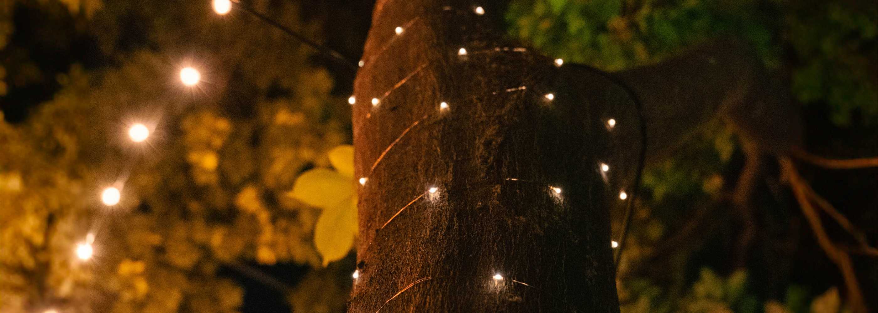 Solar coloured fairy lights hotsell