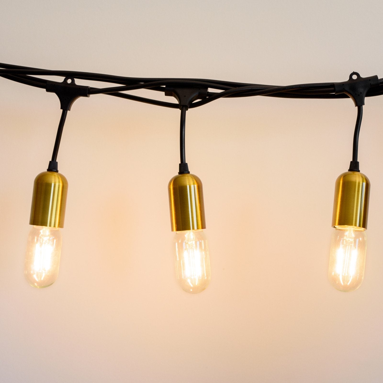 Litehouse Gold Socket Plug - In Festoon Bulb String Light - Modern LED Bulb, Black - Litehouse
