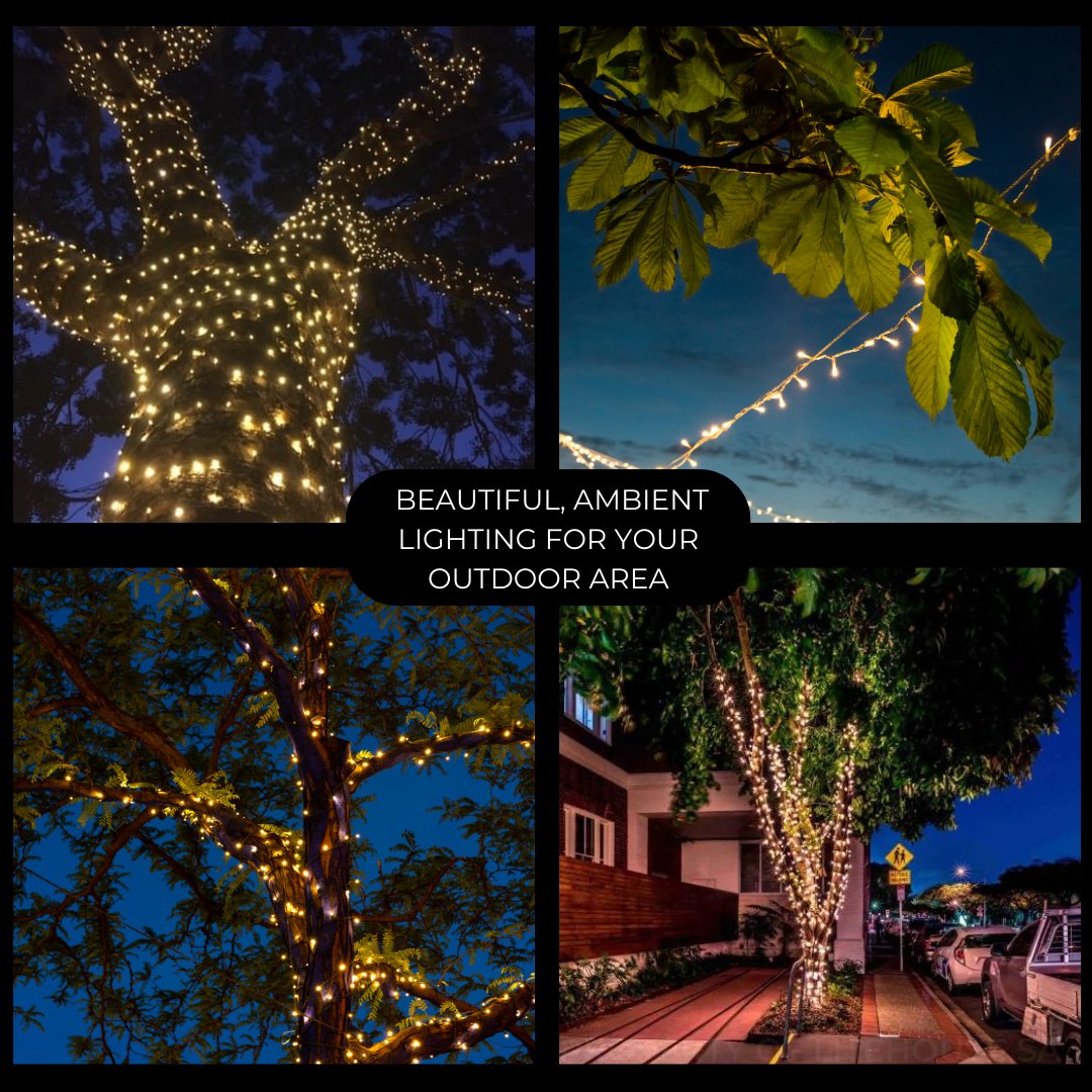Litehouse Solar Outdoor LED Fairy Lights - Black String - Litehouse