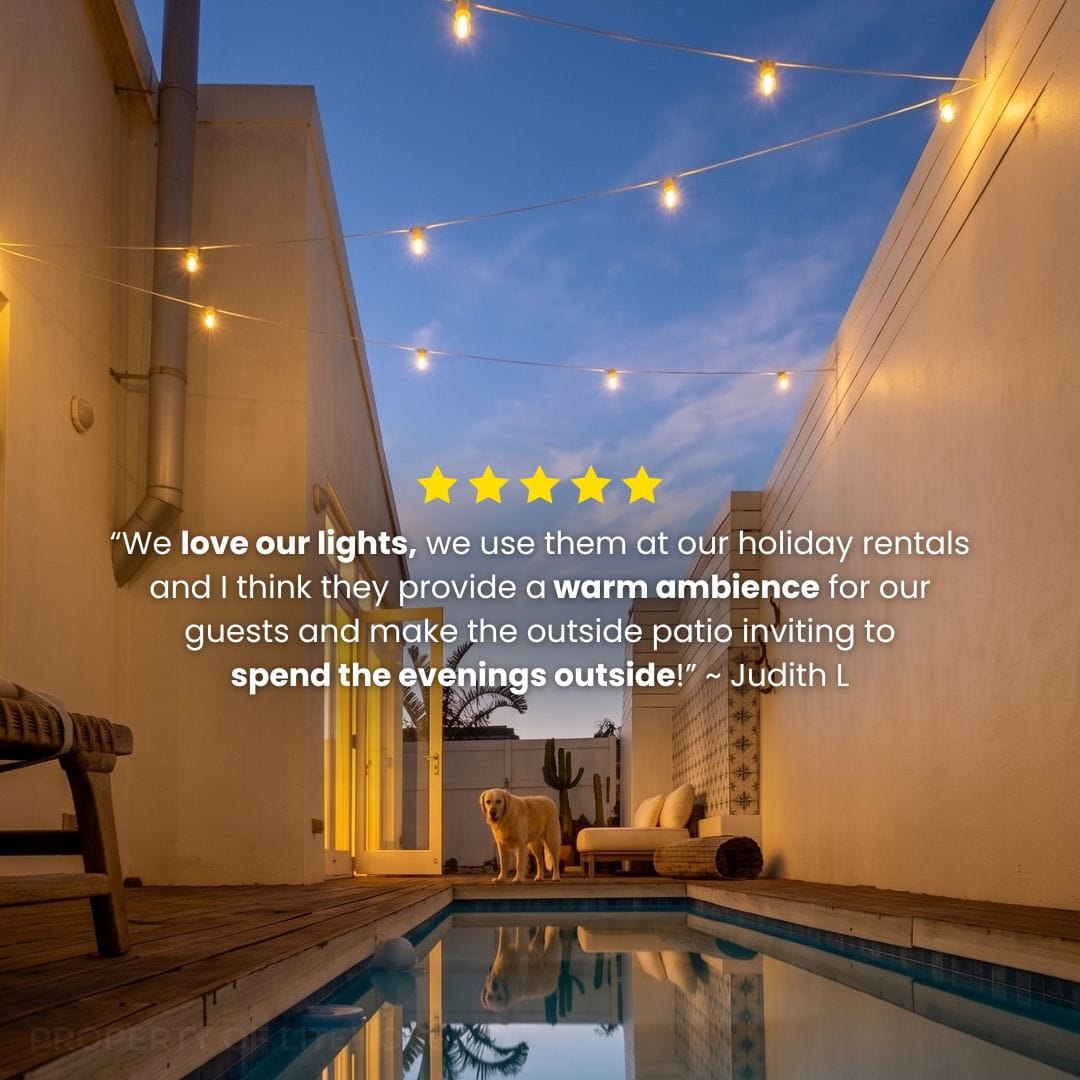Solar Festoon Bulb String Lights - White - Litehouse (Pty) Ltd